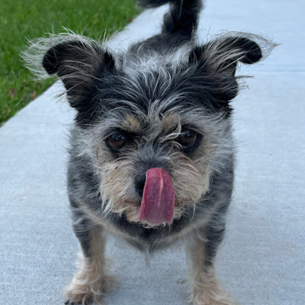 Meet your Posher, Angela